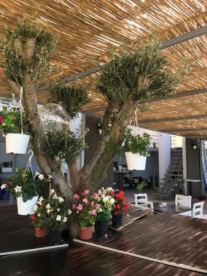 Emi Durres